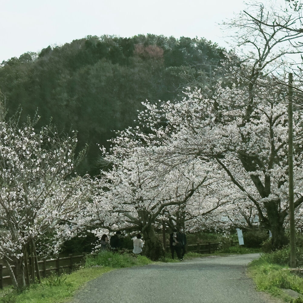 画像1273